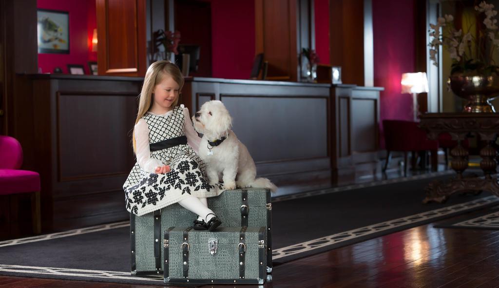 Castletroy Park Hotel Limerick Junction Екстериор снимка